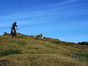 Cykling på fälten i Velika Planina