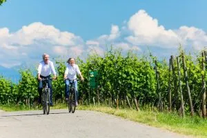 Parcourir à vélo les vignobles de Goriška Brda