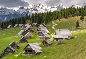 Explore the Alpine meadow of Zajamniki